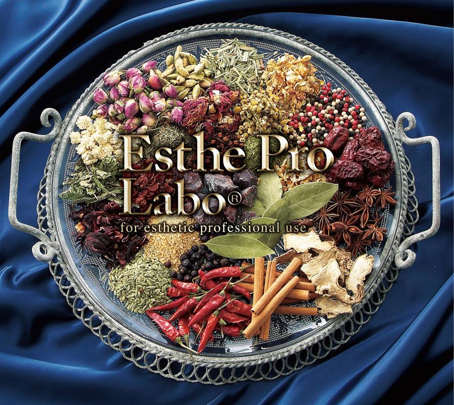 Pro Labo Holdings